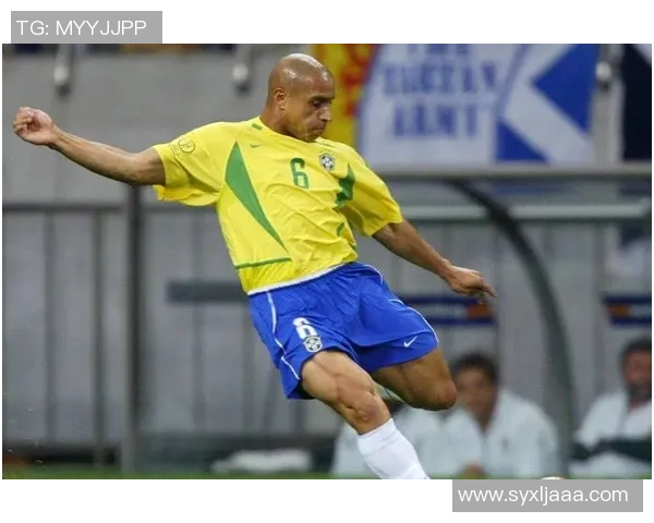 2002年巴西足球明星的辉煌成就与传奇故事回顾