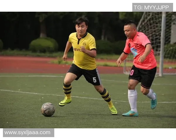 嘉兴足球明星阵容全景展示及精彩瞬间回顾